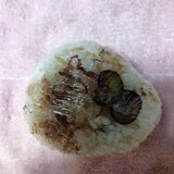 炒めたなすかつお節白ごま おにぎり